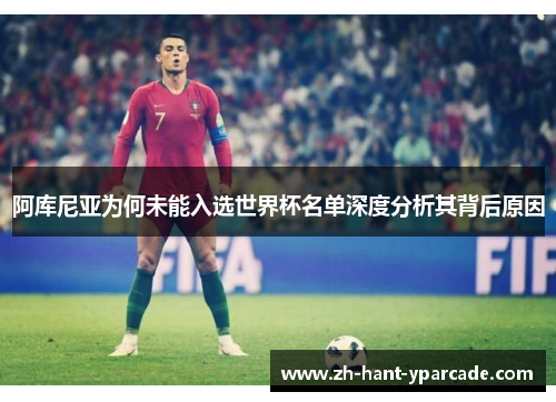 阿库尼亚为何未能入选世界杯名单深度分析其背后原因